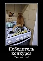 Нажмите на изображение для увеличения
Название: IMG-20191119-WA0046.jpg
Просмотров: 525
Размер:	56.5 Кб
ID:	3096934
