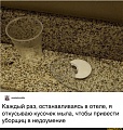 Нажмите на изображение для увеличения
Название: 24f7cf2e184141c448c624ab13f3b21b167662ba31bc1295b31c74cdf9e4cec9_1.jpg.jpg
Просмотров: 548
Размер:	167.4 Кб
ID:	3104656