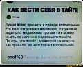 Нажмите на изображение для увеличения
Название: 0509aa25bb64f0a8160142fca173c6af58c04f3063f558ad7eb8bff6ecd3d95e_1.jpg.jpg
Просмотров: 547
Размер:	71.8 Кб
ID:	3104870