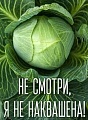 Нажмите на изображение для увеличения
Название: 6578B745-3E7E-425D-B9AC-EF016F16CA23.jpeg
Просмотров: 555
Размер:	72.2 Кб
ID:	3107160
