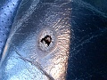 Нажмите на изображение для увеличения
Название: 20201209_101917.jpg
Просмотров: 172
Размер:	410.6 Кб
ID:	3111741