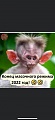 Нажмите на изображение для увеличения
Название: F62670B8-4438-4F31-9742-0C336D0BE6CC.jpeg
Просмотров: 527
Размер:	33.8 Кб
ID:	3112226