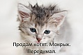 Нажмите на изображение для увеличения
Название: C98BB5D4-14F6-44C9-AAC3-AD2193233811.jpeg
Просмотров: 609
Размер:	61.0 Кб
ID:	3115066