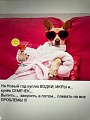 Нажмите на изображение для увеличения
Название: 919261A5-4DE3-4217-8F97-467C9E1E4281.jpeg
Просмотров: 519
Размер:	95.5 Кб
ID:	3115355