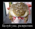 Нажмите на изображение для увеличения
Название: dem-041.jpg
Просмотров: 992
Размер:	60.6 Кб
ID:	312244
