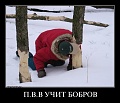 Нажмите на изображение для увеличения
Название: f5e88bb1952bba2d3f14a9d76f3_prev.jpg
Просмотров: 989
Размер:	34.5 Кб
ID:	312251