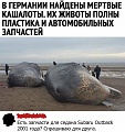Нажмите на изображение для увеличения
Название: 878D415C-6377-4602-A8AD-F465B3F4A400.jpeg
Просмотров: 548
Размер:	97.9 Кб
ID:	3125202
