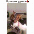 Нажмите на изображение для увеличения
Название: 62ba3d097270.gif
Просмотров: 605
Размер:	2.17 Мб
ID:	3130821