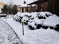 Нажмите на изображение для увеличения
Название: 1BAEEAD3-E647-48D0-9565-625FB36D4BAB.jpg
Просмотров: 34
Размер:	433.4 Кб
ID:	3139153