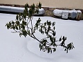 Нажмите на изображение для увеличения
Название: F0938BDD-561B-4C68-B6E0-5A98D9692148.jpg
Просмотров: 89
Размер:	401.1 Кб
ID:	3139156