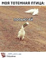 Нажмите на изображение для увеличения
Название: BDE01730-B604-4A3C-B249-7BD1864EE525.jpeg
Просмотров: 467
Размер:	121.2 Кб
ID:	3139212