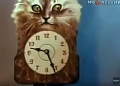 Нажмите на изображение для увеличения
Название: ясь и янина.jpg
Просмотров: 86
Размер:	43.8 Кб
ID:	3139465