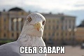 Нажмите на изображение для увеличения
Название: ED66949C-41FC-4F49-84F6-92B71F1918CB.jpeg
Просмотров: 508
Размер:	30.8 Кб
ID:	3140600