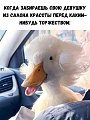 Нажмите на изображение для увеличения
Название: A61D918E-61F8-4711-BB11-CF3DB19A1E6D.jpeg
Просмотров: 546
Размер:	110.2 Кб
ID:	3152870