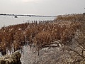 Нажмите на изображение для увеличения
Название: 6B50AEE9-A4A1-4B49-82AF-D3C781D97C12.jpg
Просмотров: 37
Размер:	681.2 Кб
ID:	3169143