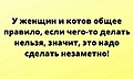Нажмите на изображение для увеличения
Название: 15330026 (1).jpg
Просмотров: 547
Размер:	38.8 Кб
ID:	3177622