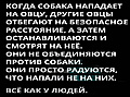 Нажмите на изображение для увеличения
Название: FAFAE0FD-EB6A-474C-B967-BF092F5FBF28.jpeg
Просмотров: 517
Размер:	76.7 Кб
ID:	3187955