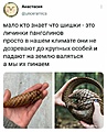 Нажмите на изображение для увеличения
Название: D4D77C35-DCD3-47E4-946F-FCA6D9AB55FE.jpeg
Просмотров: 498
Размер:	97.2 Кб
ID:	3192160