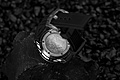 Нажмите на изображение для увеличения
Название: DSC04695.jpg
Просмотров: 1558
Размер:	185.2 Кб
ID:	3193794