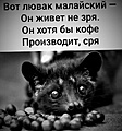 Нажмите на изображение для увеличения
Название: 6D7BE5DF-4BFB-496F-828E-F755C31612BA.jpeg
Просмотров: 507
Размер:	72.8 Кб
ID:	3196675