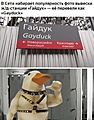 Нажмите на изображение для увеличения
Название: D4494B3F-EBBA-402B-971B-F0B49EEBD41A.jpeg
Просмотров: 513
Размер:	205.0 Кб
ID:	3196682