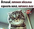 Нажмите на изображение для увеличения
Название: DDF6E813-6594-4F4C-ADFC-190A70DB355E.jpeg
Просмотров: 465
Размер:	44.0 Кб
ID:	3197964