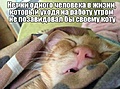 Нажмите на изображение для увеличения
Название: AA6D671C-C902-4F7B-92F0-F4195ED6C6B6.jpeg
Просмотров: 471
Размер:	30.1 Кб
ID:	3197965