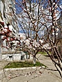 Нажмите на изображение для увеличения
Название: C697DB52-BA02-472C-A07B-171BCB86BE7A.jpg
Просмотров: 58
Размер:	508.6 Кб
ID:	3199383