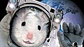 Нажмите на изображение для увеличения
Название: 4F8EB356-E55F-4D3E-ADC4-2469FE13BE36.jpeg
Просмотров: 251
Размер:	101.9 Кб
ID:	3200458