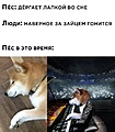 Нажмите на изображение для увеличения
Название: AC94976F-0FBC-4377-9181-B2CAB7449A10.jpeg
Просмотров: 459
Размер:	100.6 Кб
ID:	3201488