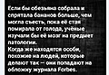 Нажмите на изображение для увеличения
Название: 514295A7-9A8C-4502-8F85-AEA02BFE7922.jpeg
Просмотров: 554
Размер:	97.2 Кб
ID:	3206310