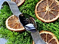 Нажмите на изображение для увеличения
Название: IMG_20210324_130525_414.jpg
Просмотров: 87
Размер:	805.9 Кб
ID:	3214467