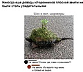 Нажмите на изображение для увеличения
Название: 2021-05-15.jpg
Просмотров: 521
Размер:	108.5 Кб
ID:	3221688