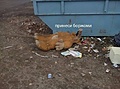 Нажмите на изображение для увеличения
Название: Боржоми.jpg
Просмотров: 479
Размер:	63.3 Кб
ID:	3231857