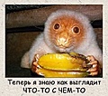 Нажмите на изображение для увеличения
Название: что-то-с-чем-то.jpg
Просмотров: 248
Размер:	71.2 Кб
ID:	3233742