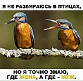 Нажмите на изображение для увеличения
Название: птицы-ж вс м.jpg
Просмотров: 518
Размер:	31.9 Кб
ID:	3238344