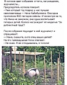 Нажмите на изображение для увеличения
Название: 7591CEBD-FDB6-4FC9-9CD1-34E51E3585A1.jpeg
Просмотров: 610
Размер:	178.2 Кб
ID:	3240298