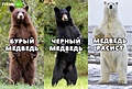 Нажмите на изображение для увеличения
Название: 6D29D7E5-EEB8-4E2A-AA29-F7D89F0E3809.jpeg
Просмотров: 528
Размер:	68.3 Кб
ID:	3246352