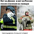 Нажмите на изображение для увеличения
Название: 588560C5-DAB0-4CA2-9054-CC53DF8CBF10.jpeg
Просмотров: 540
Размер:	63.6 Кб
ID:	3246354