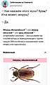 Нажмите на изображение для увеличения
Название: 581BE9BD-CF22-4C94-ABA4-21CFBA27F5FF.jpeg
Просмотров: 498
Размер:	85.6 Кб
ID:	3247518