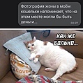 Нажмите на изображение для увеличения
Название: EBF34922-9535-4FAC-80BC-9E894B82477F.jpeg
Просмотров: 475
Размер:	86.1 Кб
ID:	3250574