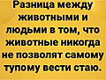 Нажмите на изображение для увеличения
Название: 6F83AC70-223F-4095-98CD-C15111B80AA7.jpeg
Просмотров: 671
Размер:	103.4 Кб
ID:	3252453