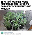 Нажмите на изображение для увеличения
Название: F083133E-B231-49CA-AD99-544EDA1C51B7.jpeg
Просмотров: 680
Размер:	130.2 Кб
ID:	3253687