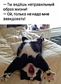 Нажмите на изображение для увеличения
Название: IMG-20210606-WA0005.jpg
Просмотров: 617
Размер:	74.0 Кб
ID:	3254994