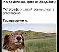 Нажмите на изображение для увеличения
Название: B672412A-DDC7-491F-A6B9-4EFBF9438C6D.jpeg
Просмотров: 516
Размер:	62.2 Кб
ID:	3255840