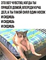 Нажмите на изображение для увеличения
Название: 2021-07-25 (3).jpg
Просмотров: 495
Размер:	49.7 Кб
ID:	3260499