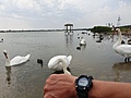Нажмите на изображение для увеличения
Название: 20210713_160929.jpg
Просмотров: 302
Размер:	303.9 Кб
ID:	3261004