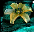 Нажмите на изображение для увеличения
Название: IMG_20200917_185344.jpg
Просмотров: 23
Размер:	134.4 Кб
ID:	3261572