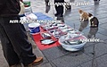 Нажмите на изображение для увеличения
Название: 507039beb0b5627d292ea64e34938770_ce_676x421x0x128_cropped_960x600.jpeg
Просмотров: 122
Размер:	104.4 Кб
ID:	3265384