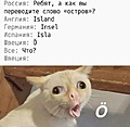 Нажмите на изображение для увеличения
Название: 2EE5A7F0-1C37-4329-B29B-141B42BF795B.jpeg
Просмотров: 513
Размер:	68.0 Кб
ID:	3265839